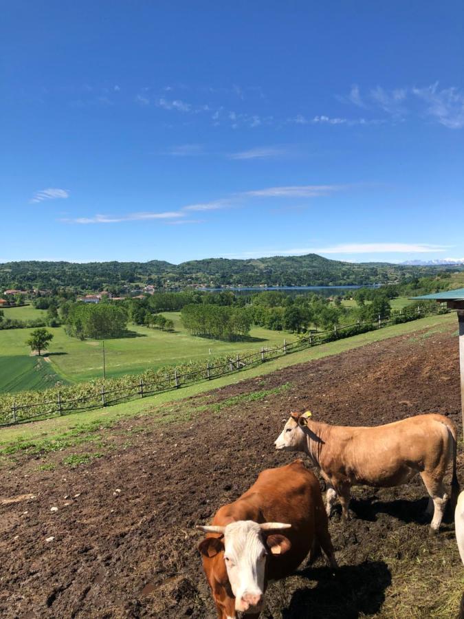 Cascina Coste Villa Roppolo Eksteriør billede