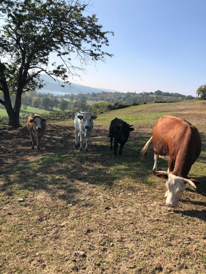 Cascina Coste Villa Roppolo Eksteriør billede